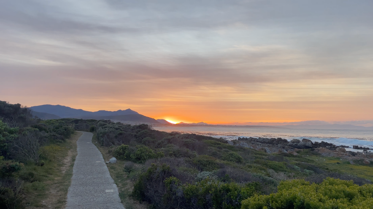 Why Walking Changed Everything for Me